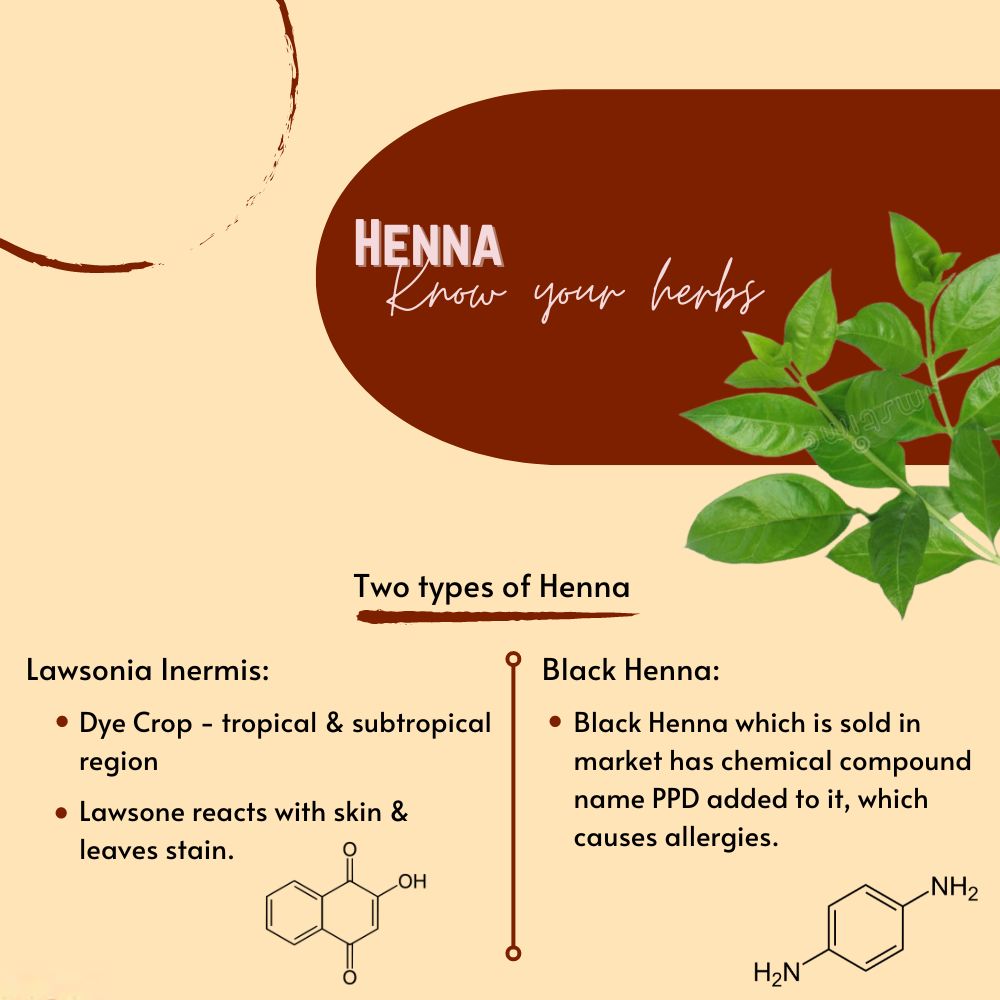 Pure Henna Powder - 100g