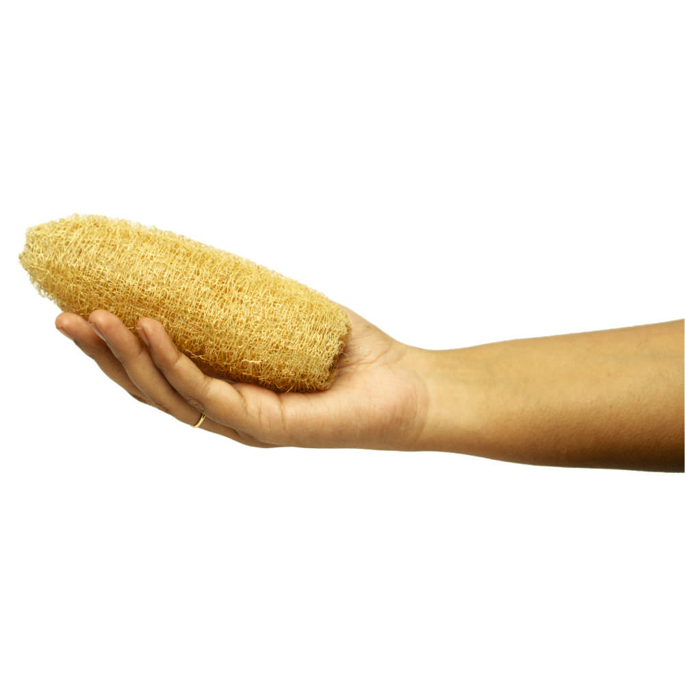 Loofah Body Scrub